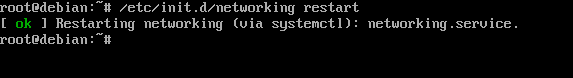 restart ip