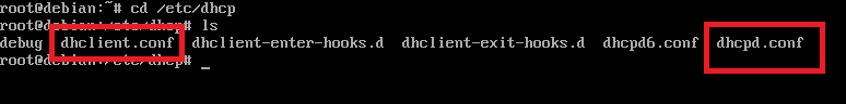 dhclient dhcp server