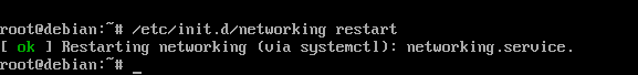 restart ip address dhcp server