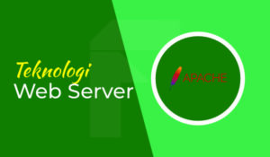 teknoloi web server